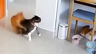 Funny6
