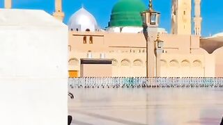 رب لے گیا مینو شہر مدینے