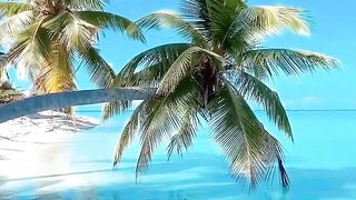 Fish videos