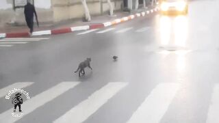 I accidentally found Tom and Jerry on my way to work, it was very funny ????????????????