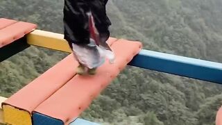Bungee jumping