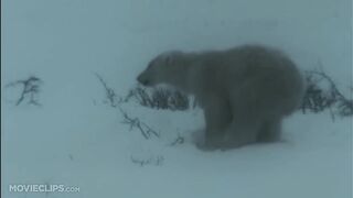 Arctic Tale (5_10) Movie CLIP - Starving in the Blizzard (2007) HD.