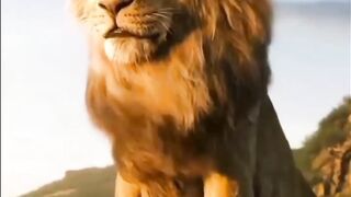 Lion the King