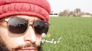pictures poetry