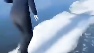 The_end_28_????????????_#viral_#shorts_#funny_#fails_#humorfolder(240p).