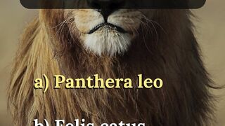Test Your Animal Knowledge with This Animals Quiz |Animals Quiz| #quiz