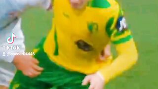 Funniest soccer video