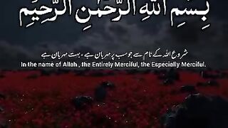 Quran  Video