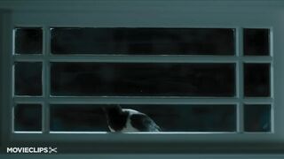 Furry Vengeance (4_11) Movie CLIP - The Tapping Crow (2010) HD.