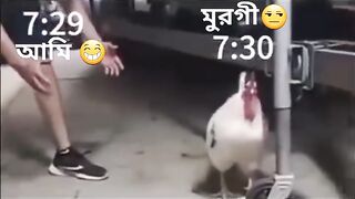 New video