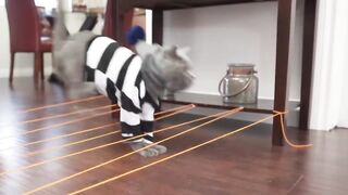 ANIMALS Funny Mind Voice 12 Sothanaigal - Tamil - SIMPLE WORLD