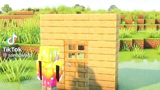 Minecraft Tips/builds