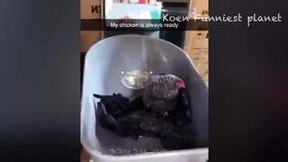 Best Funniest Animals Videos ???? - Funny Dogs And Cats Videos 2024???? #7