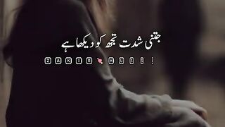 Urdu Shayari Status |Urdu Shayari Video|Urdu Shayari WhatsApp Status