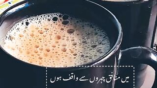 Urdu Shayari Status |Urdu Shayari Video|Urdu Shayari WhatsApp Status