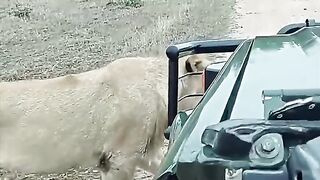 Line attack