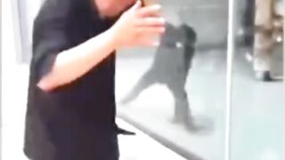 Monkey funny video Viral Clip ????????