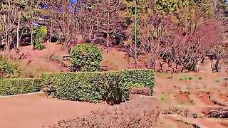 Travel to PC Hotel Murree????