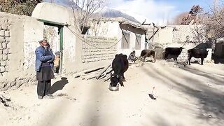 Muskan_Ne_Mujhay_Heraan_Kardia_????_Dangerous_Bridge_in_My_Village(360p).mp4Shirazi village vlogs 2024