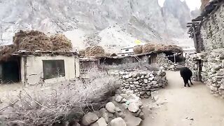 I_am_Going_To_Pindi_On_My_Cycle_????_Bye 2024 shirazi village vlogs