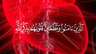 Qurani ayat