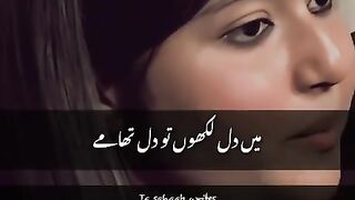 Urdu Shayari Status |Urdu Shayari Video|Urdu Shayari WhatsApp Status