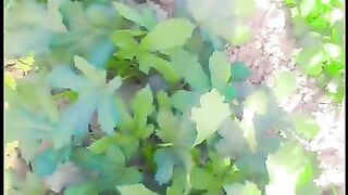 Beauty of Sindh
