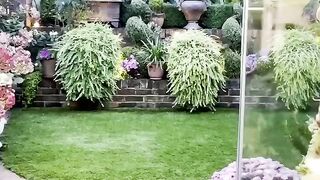 Beautiful Garden ????