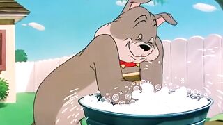 Tom and jerry