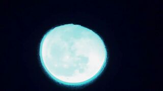 Blue moonlight