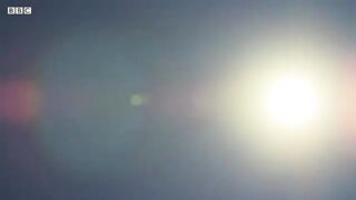 Brutal stallion mating fight planet earth