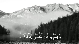 قراءة مذهلة للقارئ عبد الرحمن مسعد سورة يونس