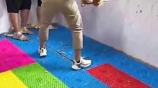 Funny videos