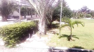 Amador