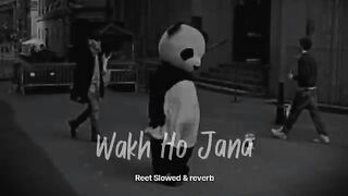 Wakh Ho Jana (slowed+reverb)