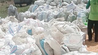 Sebatas petani