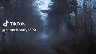 Nature video