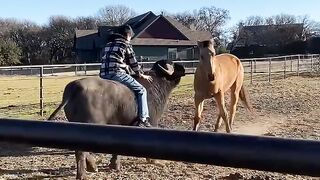 While having fun I had to pay the price