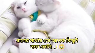 subscribe my channel