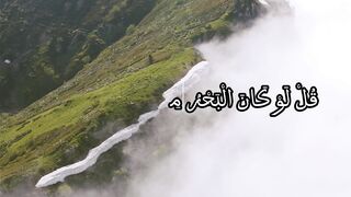 تلاوة هادئة للقارئ حاتم فريد  #القرآن_الكريم #تلاوة خاشعة #الصلاة_على_النبي