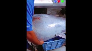 Gubab  Fish ????