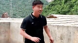 Funny and animals video hd