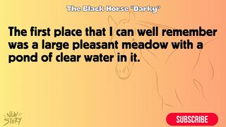 Black Beauty