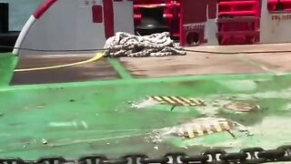 the power of the sea