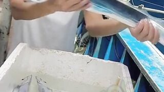 Funny Video