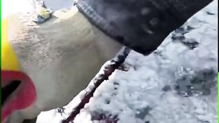 Cutting Tires
