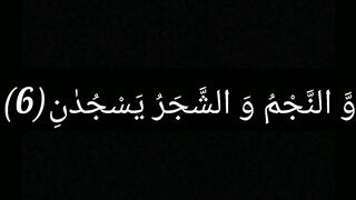 Surah Ar Rahman |Quran Reaction