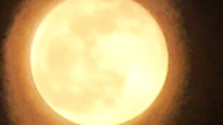 Egypt moon