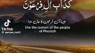 Video Quran