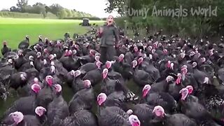 Funny Animal Videos 2023 ???? - Funniest Dogs and Cats Videos ???? #9